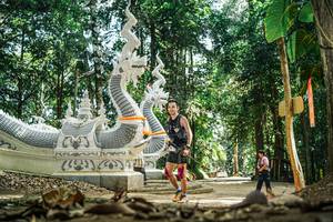 BIB: 
                            <button type="button" onclick="openModal(26054137)" class="btn btn-primary btn-sm float-right btn-popup" data-toggle="modal" data-target=".modal-high-quality">
                        <i class="fas fa-shopping-cart"></i> Add to Cart
                    </button>
                                            <button type="button" onclick="isThisMe(26054137, true)" class="btn btn-success btn-sm float-right btn-popup btn-isme hidden" data-toggle="tooltip" data-placement="bottom" title="นี่คือรูปของคุณใช่ไหม คลิกที่นี่เพื่อเอาเข้าอัลบั้ม">
                        <i class="fas fa-plus"></i> Add to album
                    </button>
                    <button type="button" onclick="isThisMe(26054137, false)" class="btn btn-warning btn-sm float-right btn-popup btn-isnotme hidden">
                        <i class="fas fa-ban"></i> Remove from album
                    </button>